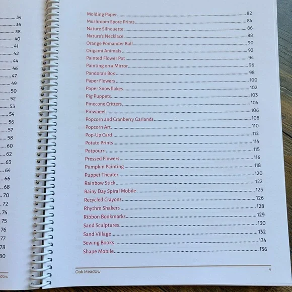 Oak Meadow K-3 Crafts Book Homeschool Curriculum - Picture 4 of 8